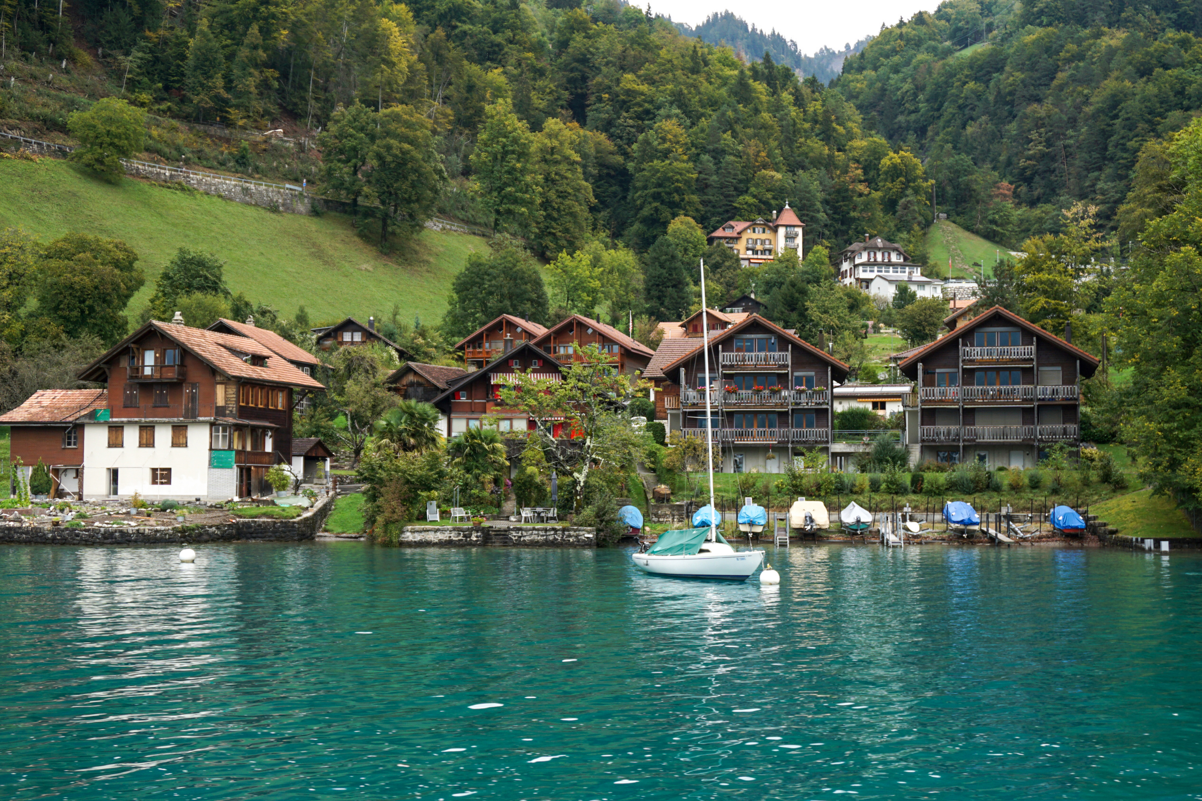 grindelwald (3).webp